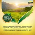 tataeagold5.webp