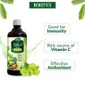amaljuice4.jpg