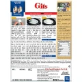 gitsdosa2.webp