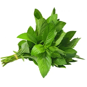 Mint 1 Bunch