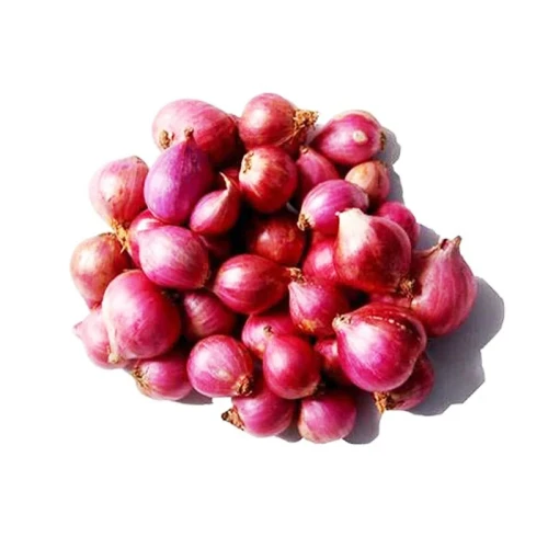 smallonion.webp