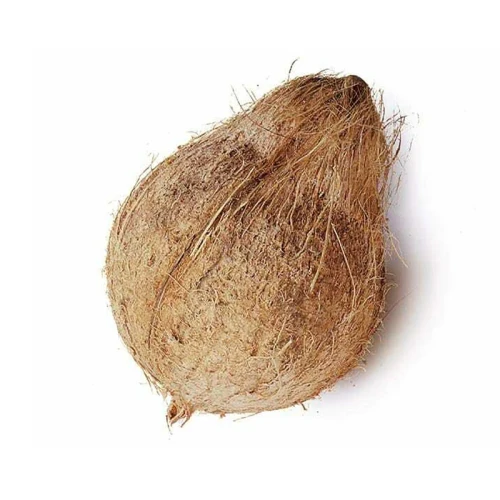 pooja_coconut.webp